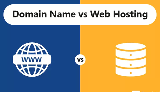 Domain Name vs Web Hosting: What's the Difference?.