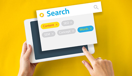 Google algorithm updates and SEO ranking factors explained for SEO professionals.