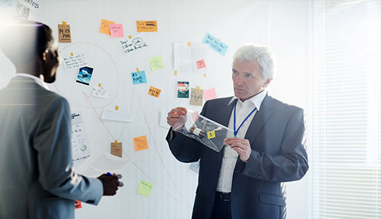 Director of Product Management roles and responsibilities in business leadership